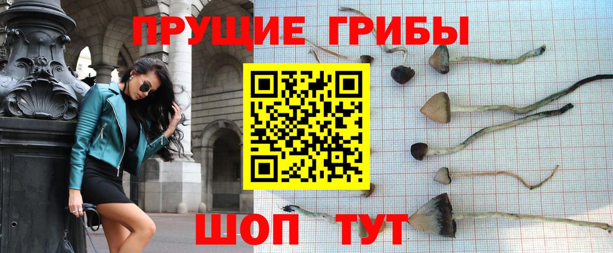 Назарово  Псилоцибиновые грибы Psilocybe  Вход с VPN 